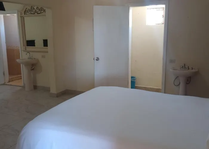 Hotel palma de oro